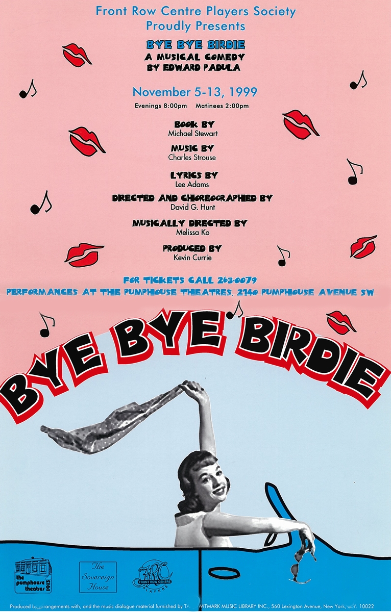 Poster for Bye Bye Birdie